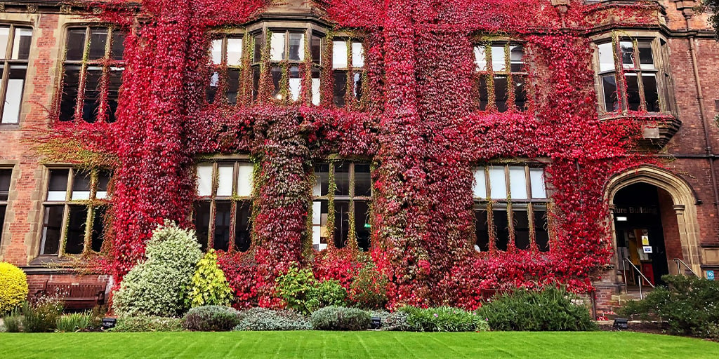 Autumn on Campus