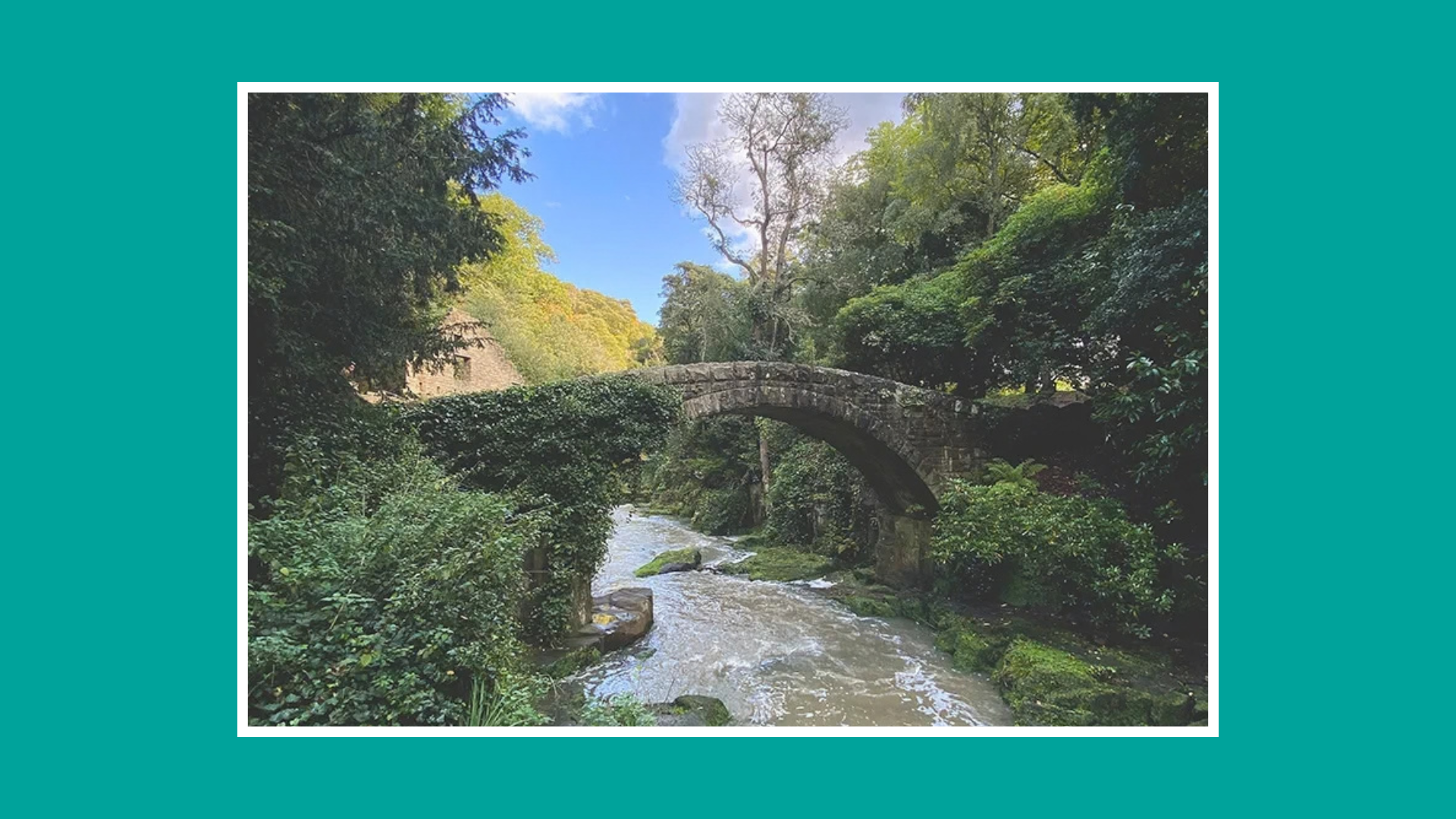 Bridge in Jesmond Dene