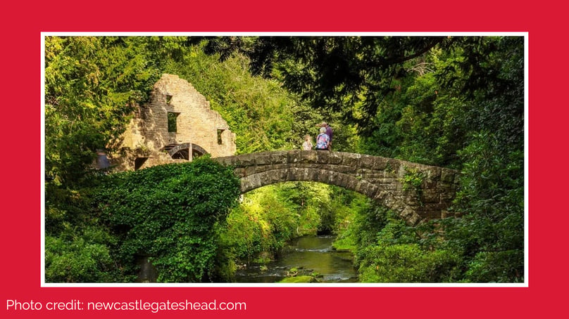 Jesmond Dene - A bridge over Jesmond Dene