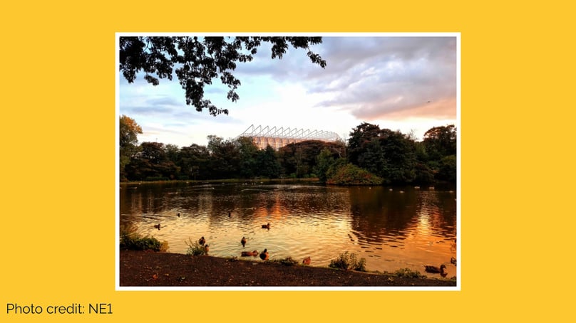 Leazes Park duck pond