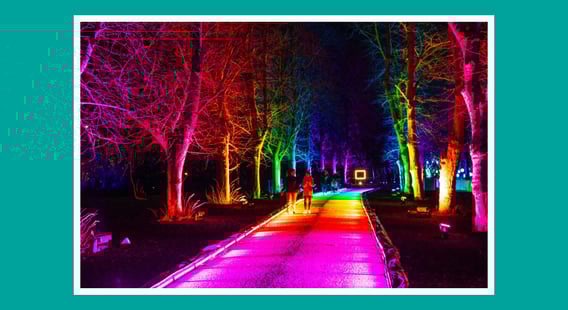 Northern Lights Trail, Get Into Newcastle