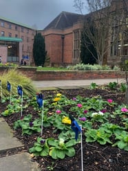 Picture1: colourful flowerbed outside the old library building