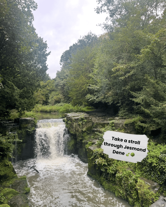 Talk a walk through Jesmond Dene