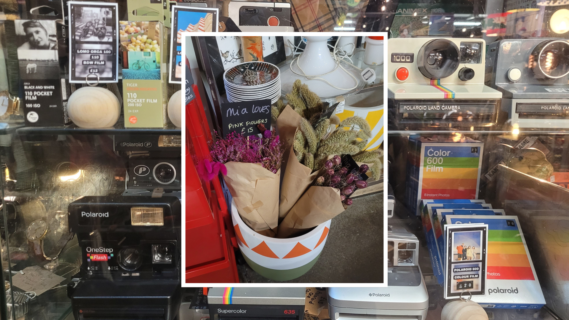 Vintage Polaroid cameras and film displayed in a shop window, with a small bouquet of dried flowers.