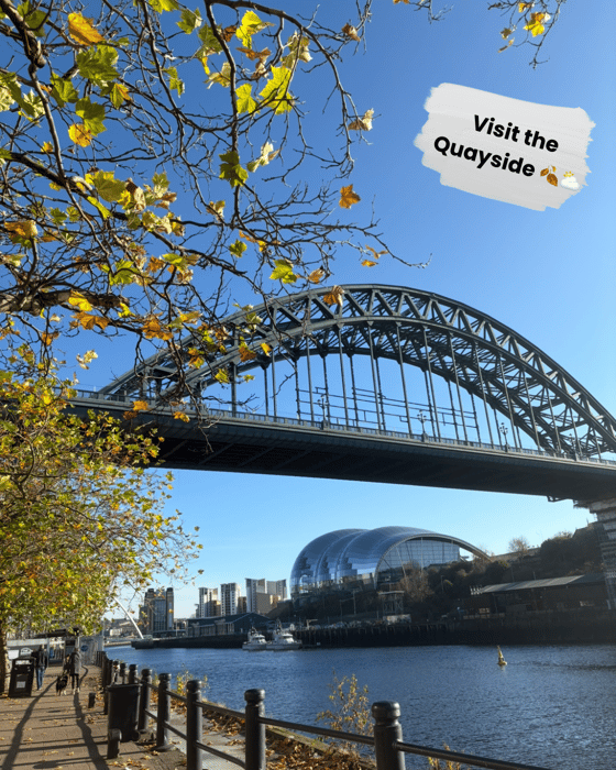Visit the Quayside