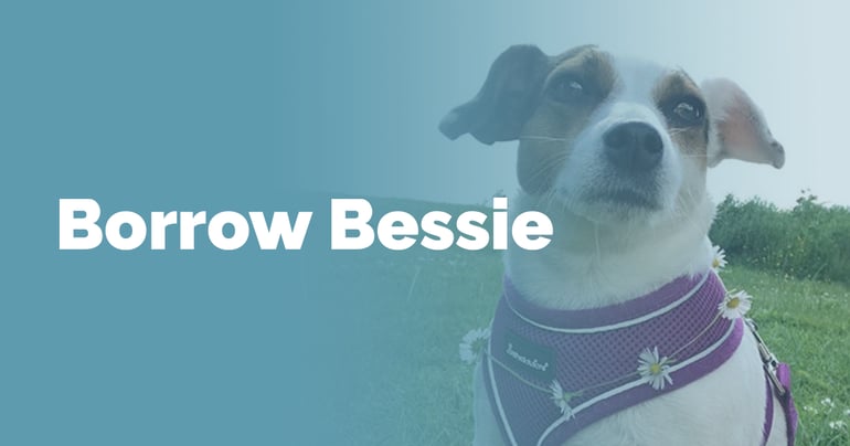 borrow bessie