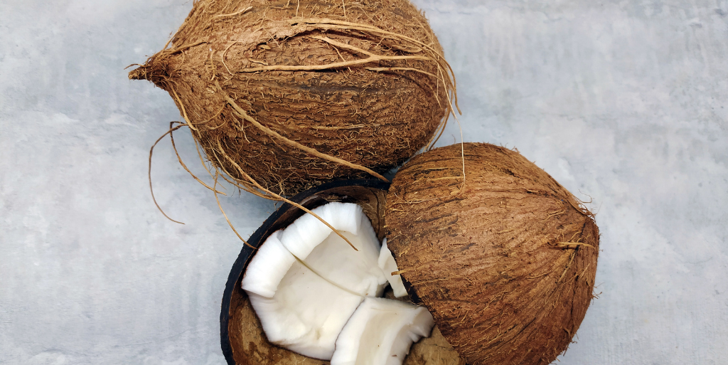 coconut