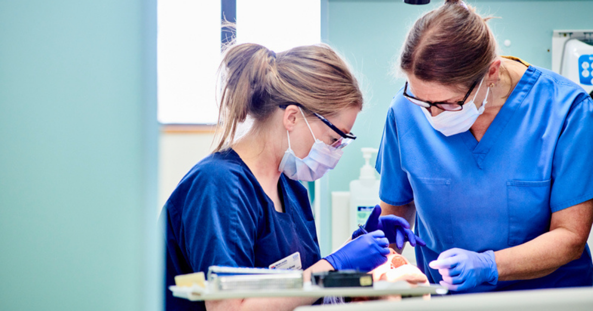 dental sciences header