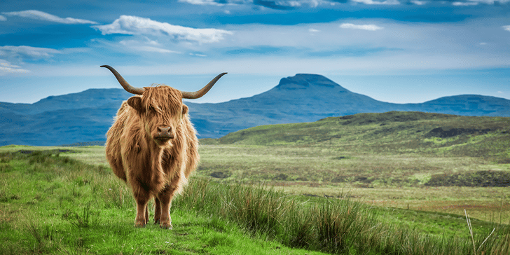 scottish highlands