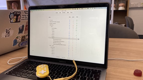 image of anki being used on a laptop
