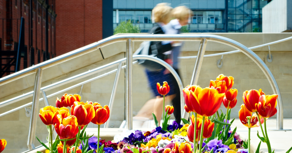 Newcastle university campus in spring, image of two people going up some stairs in front of spring flowers like tulips